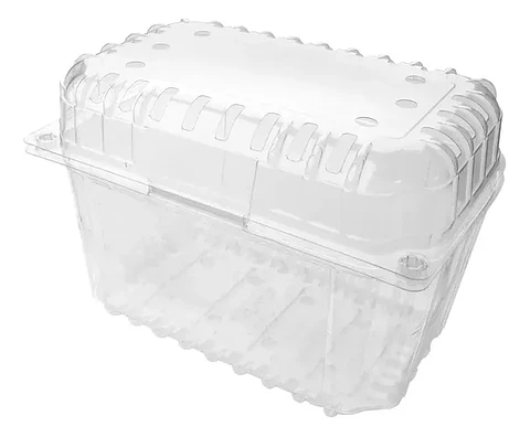 Envase Clamshell Para Frutas 500 y 1000 GR