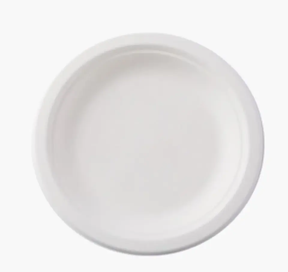 Plato 18 Cm Bagasse Compostable  1