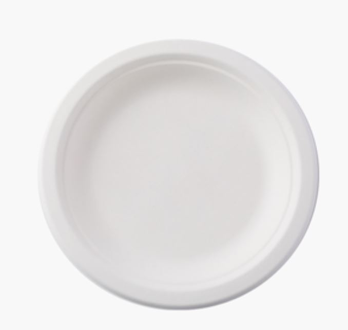 Plato Bagasse Biodegradable 22 Cm Compostable Desechable Resistente