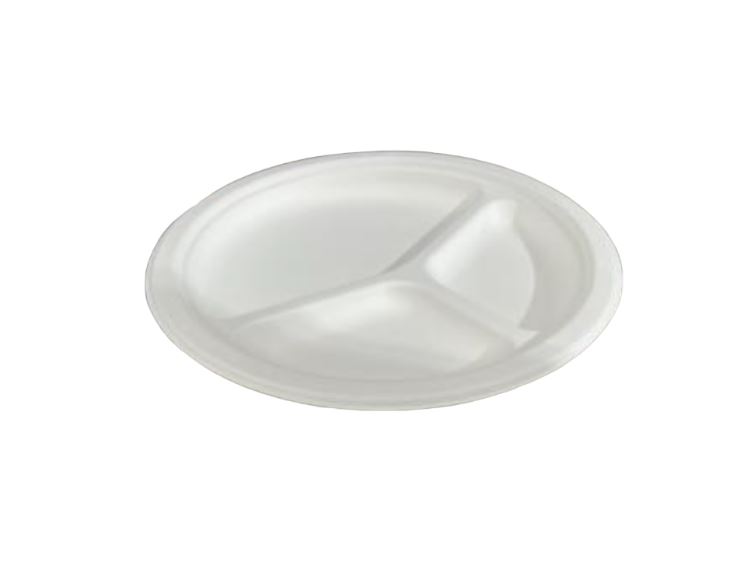 Plato Bagasse Biodegradable 22 cm Compostable Resistente Delivery