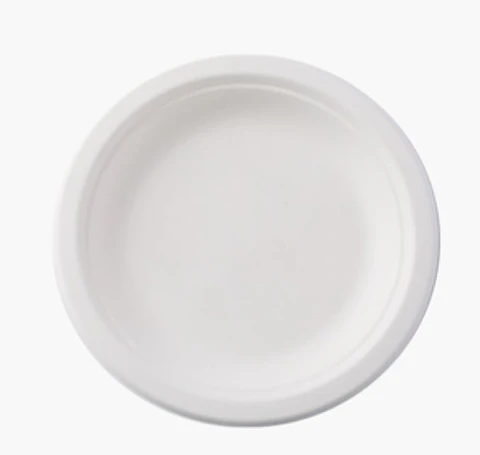 Plato Bagasse Biodegradable 26 cm | Plato Compostable Resistente para Delivery y Eventos