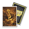 Dragon Shield Sleeves: Standard- Matte Art "Kyloria"