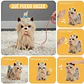 Perro de Peluche Interactivo con Correa y Sonido - Miniatura 6