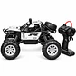 Carro a Control Remoto Todoterreno con Spray 9639A - Miniatura 1