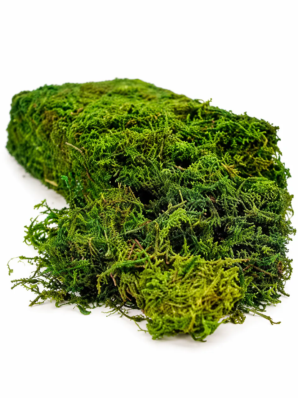 Musgo Artificial 1