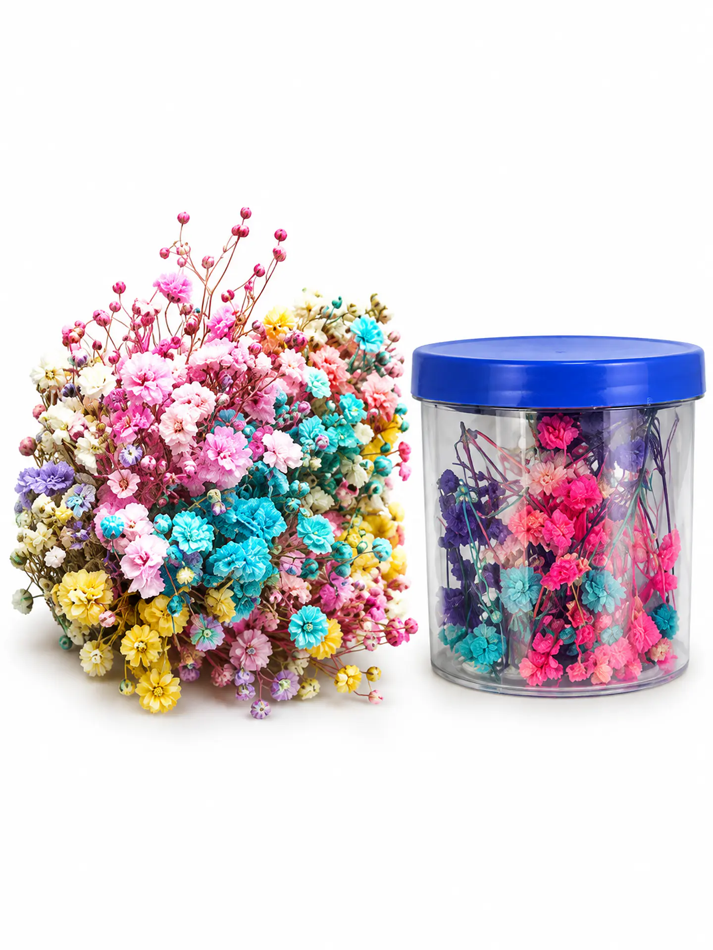 Flores Eternas 1