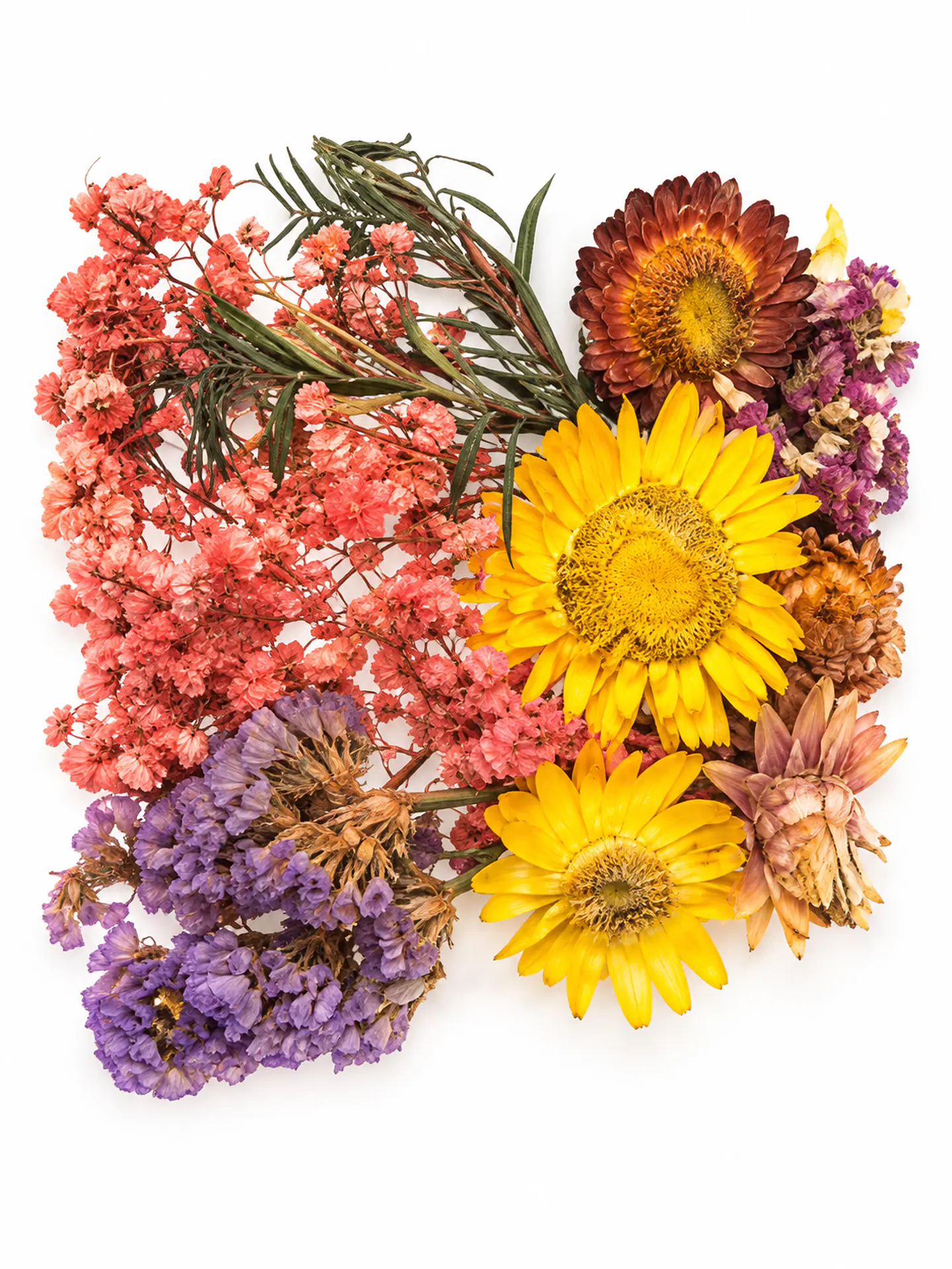 Flores Secas 1