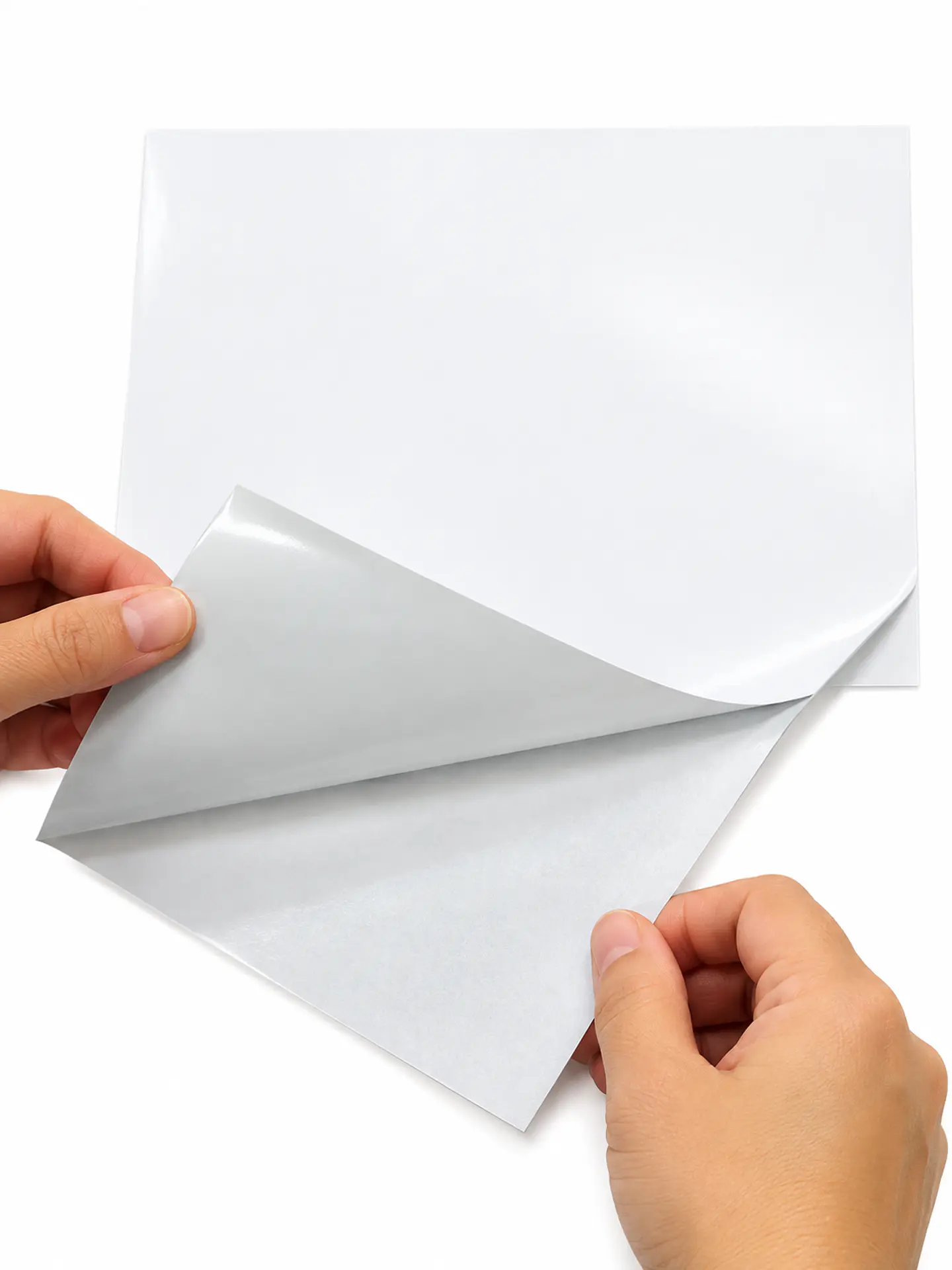 Vinilo Blanco Impermeable 1