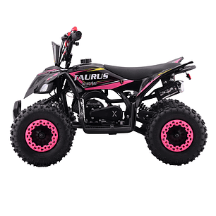 Atv Taurus Pro 49cc