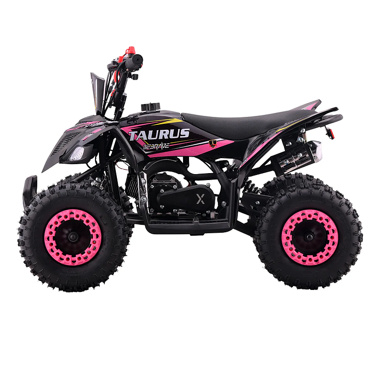 Atv Taurus Pro 49cc 2