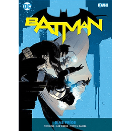 Batman Vol 08: Días Fríos