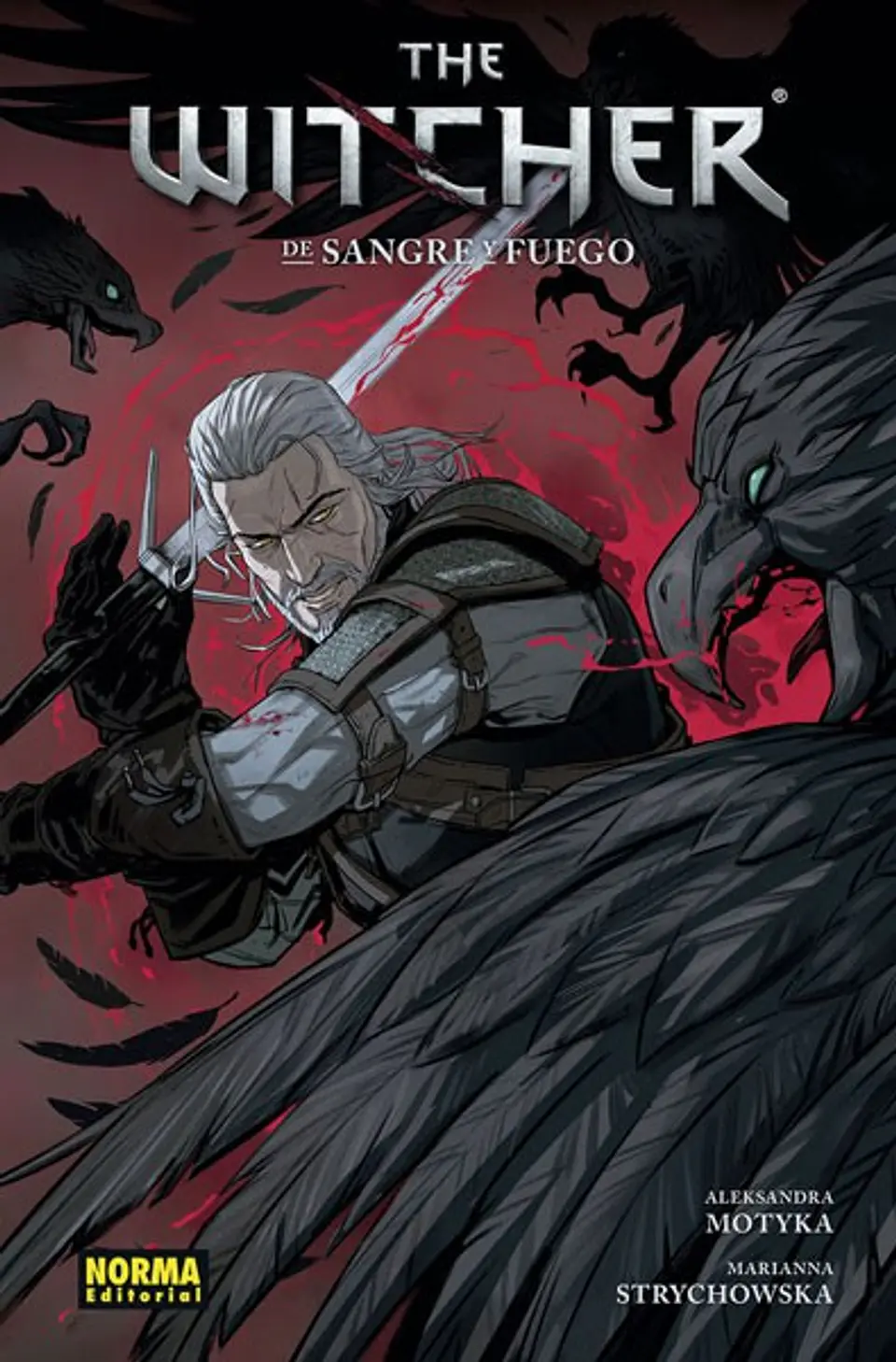 The Witcher Vol.4: De Sangre y Fuego (Tapa Dura) 1