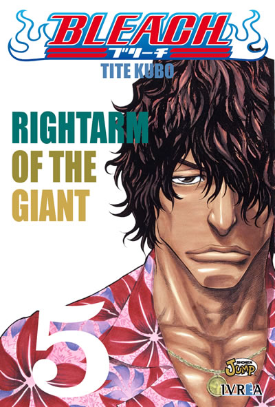 Bleach N°05