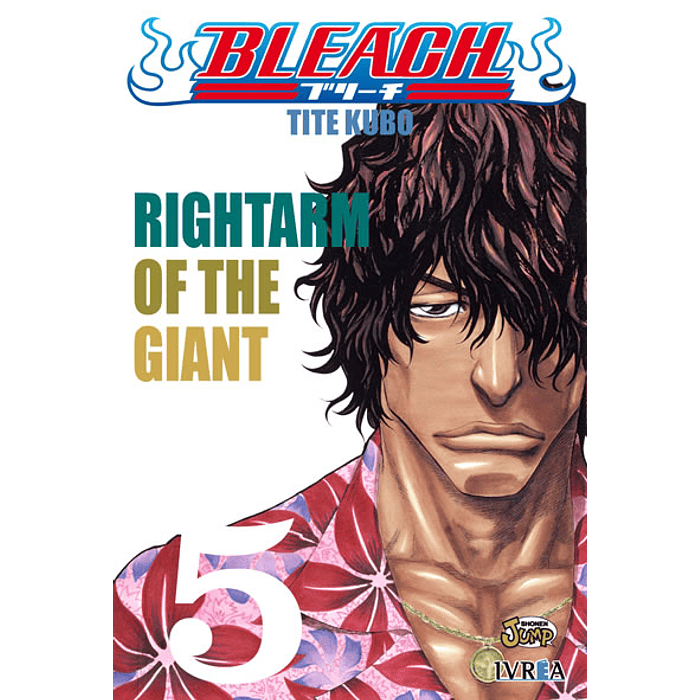 Bleach N°05