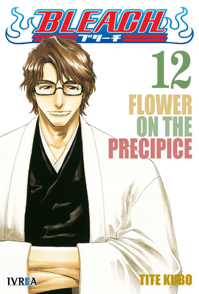 Bleach N°12