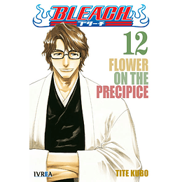 Bleach N°12