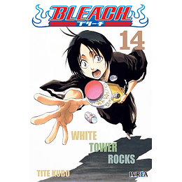 Bleach N°14