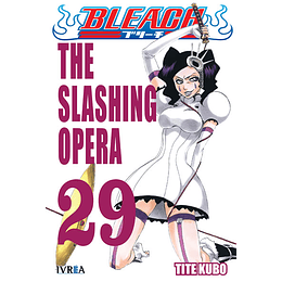 Bleach N°29