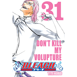 Bleach N°31