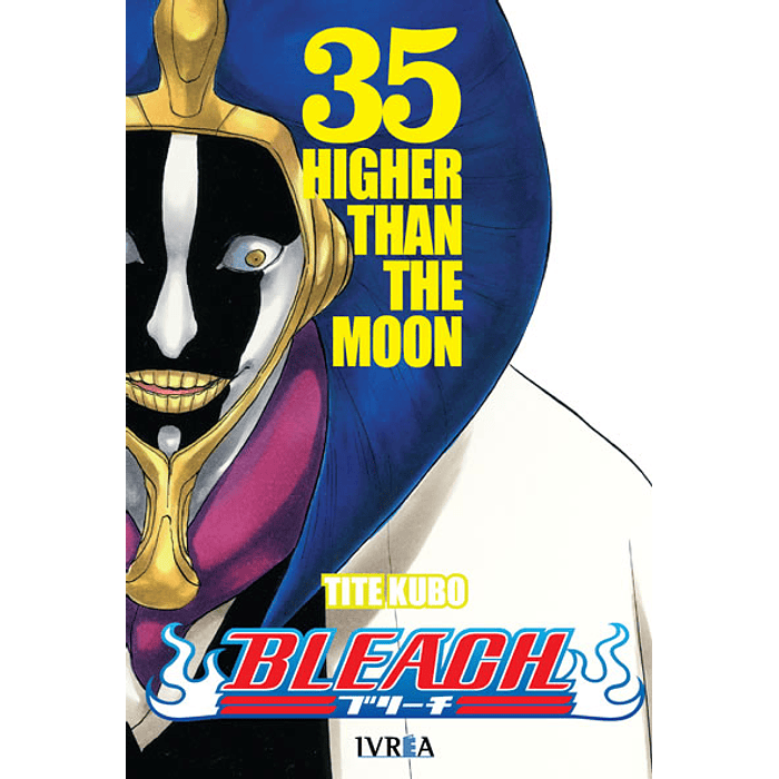 Bleach N°35