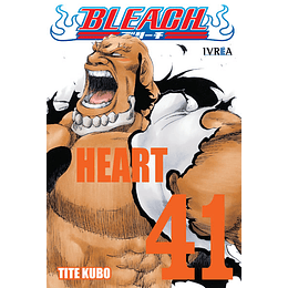 Bleach N°41