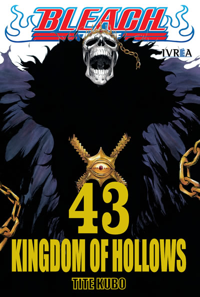 Bleach N°43