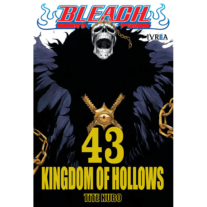 Bleach N°43