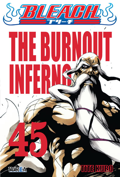 Bleach N°45