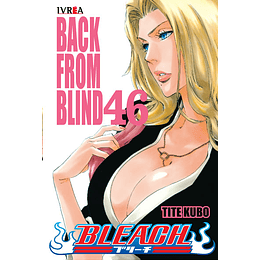 Bleach N°46