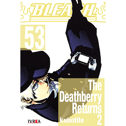 Bleach N°53