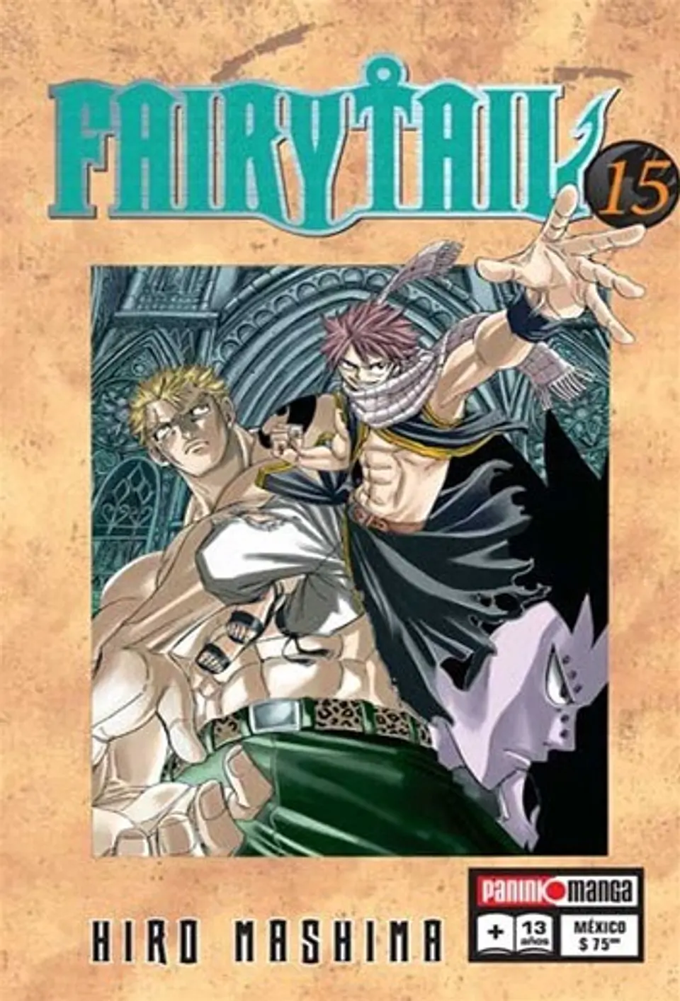 Fairy Tail N°15 1
