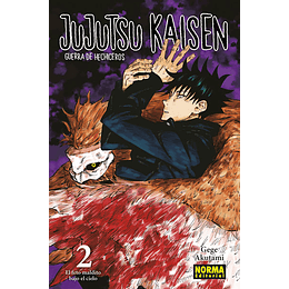 Jujutsu Kaisen Vol.02