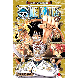 One Piece N°45