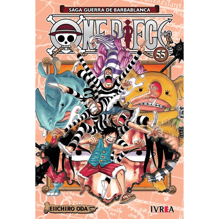 One Piece N°55