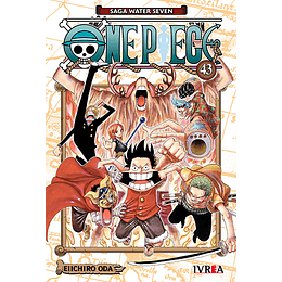 One Piece N°43