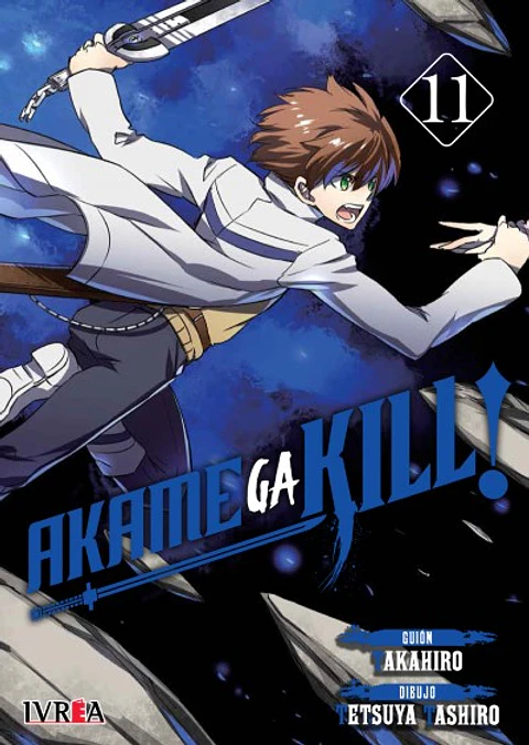 Akame Ga Kill Vol.11