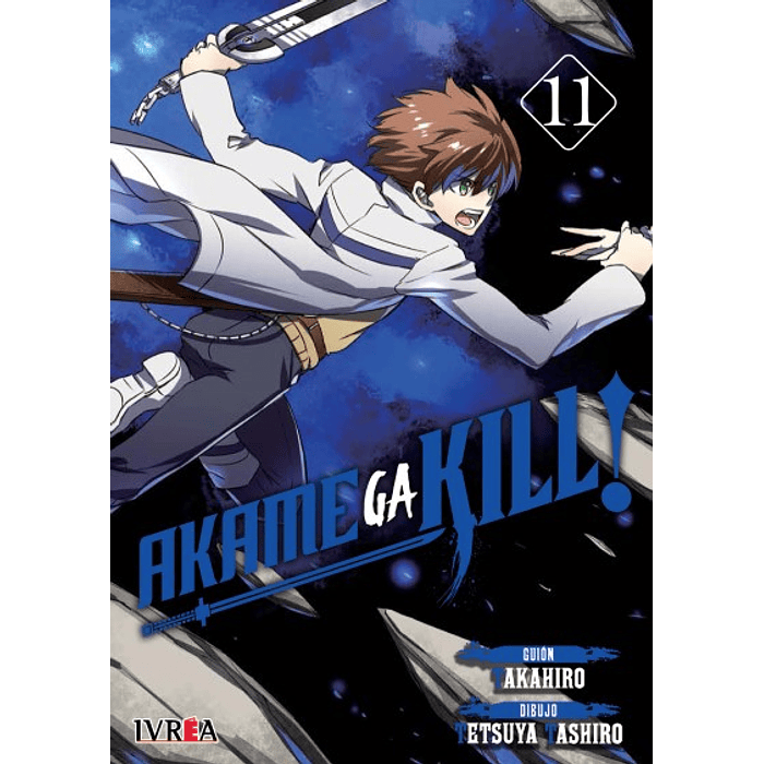 Akame Ga Kill Vol.11