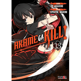 Akame Ga Kill Vol.13