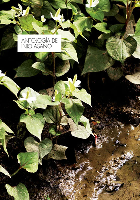 Antologia De Inio Asano