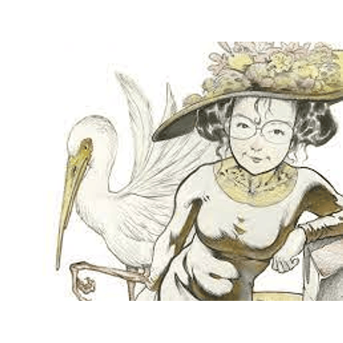 Eleanor and the Egret - Volume 1: Taking Flight / John Layman | Sam Kieth 2
