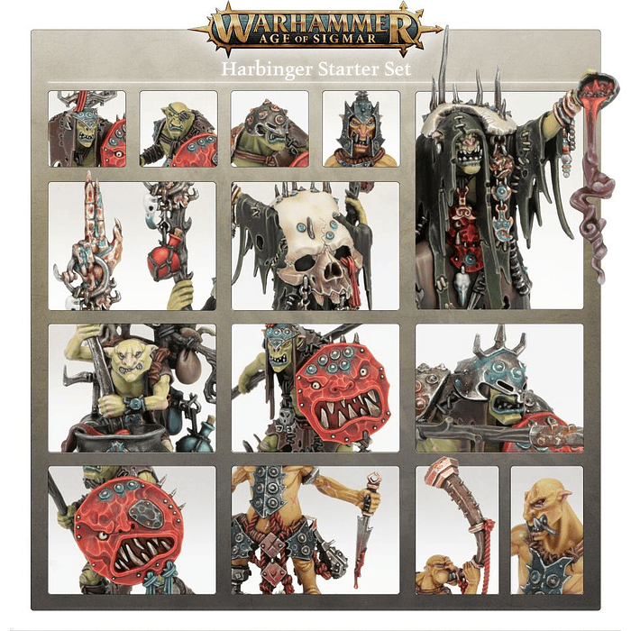 Caja de inicio Warhammer Age of Sigmar: Heraldo (Español) 6