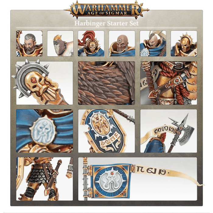 Caja de inicio Warhammer Age of Sigmar: Heraldo (Español) 7