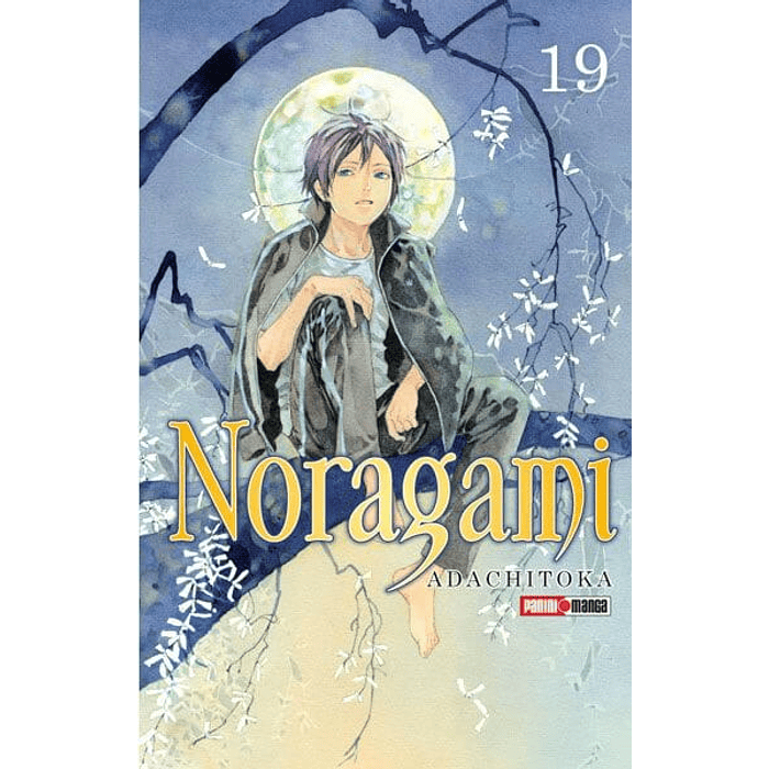 Noragami N°19