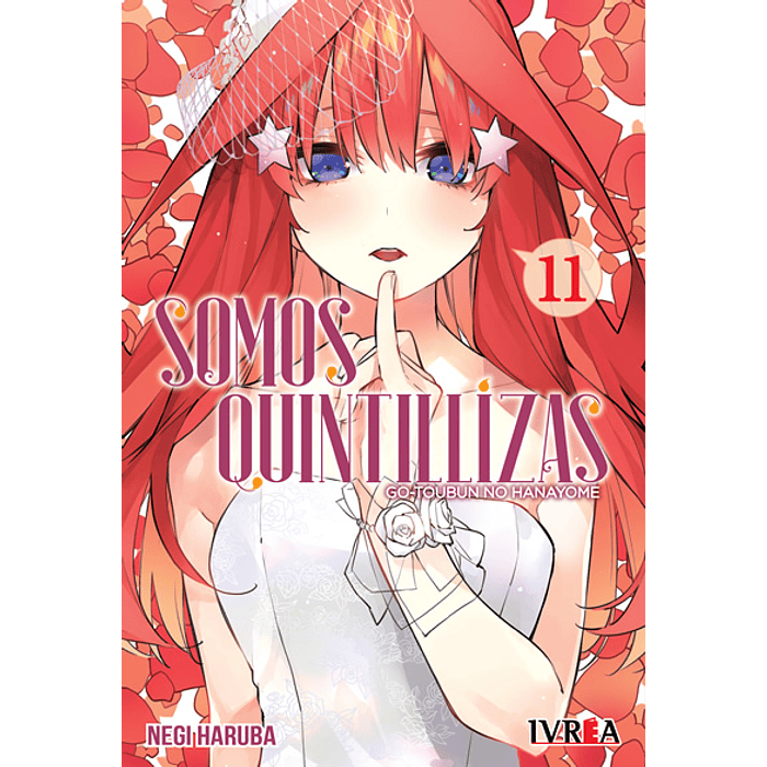 Somos Quintillizas N°11