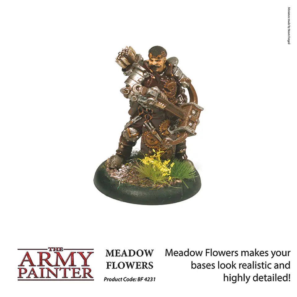Campos de batalla: Flores de la pradera - Battlefields: Meadow Flowers (2019) 5
