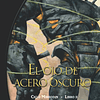 El Ojo De Acero Oscuro - Ciclo Mirrodin Libro II 1
