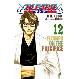 Bleach Vol.12 (Panini)