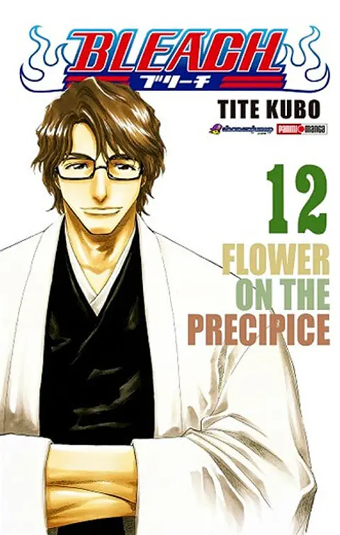 Bleach Vol.12 (Panini)