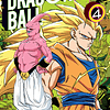 Dragon Ball Color: Saga Majinboo Vol.04 1