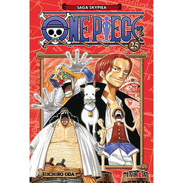 One Piece N°25